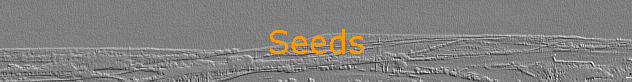 Seeds